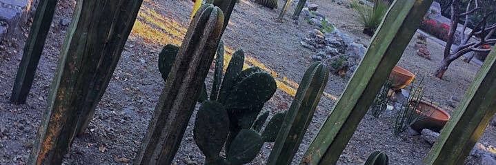 Felippereyes's profile banner image