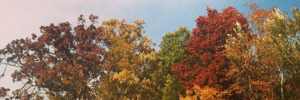 nicholeloewen's profile banner image