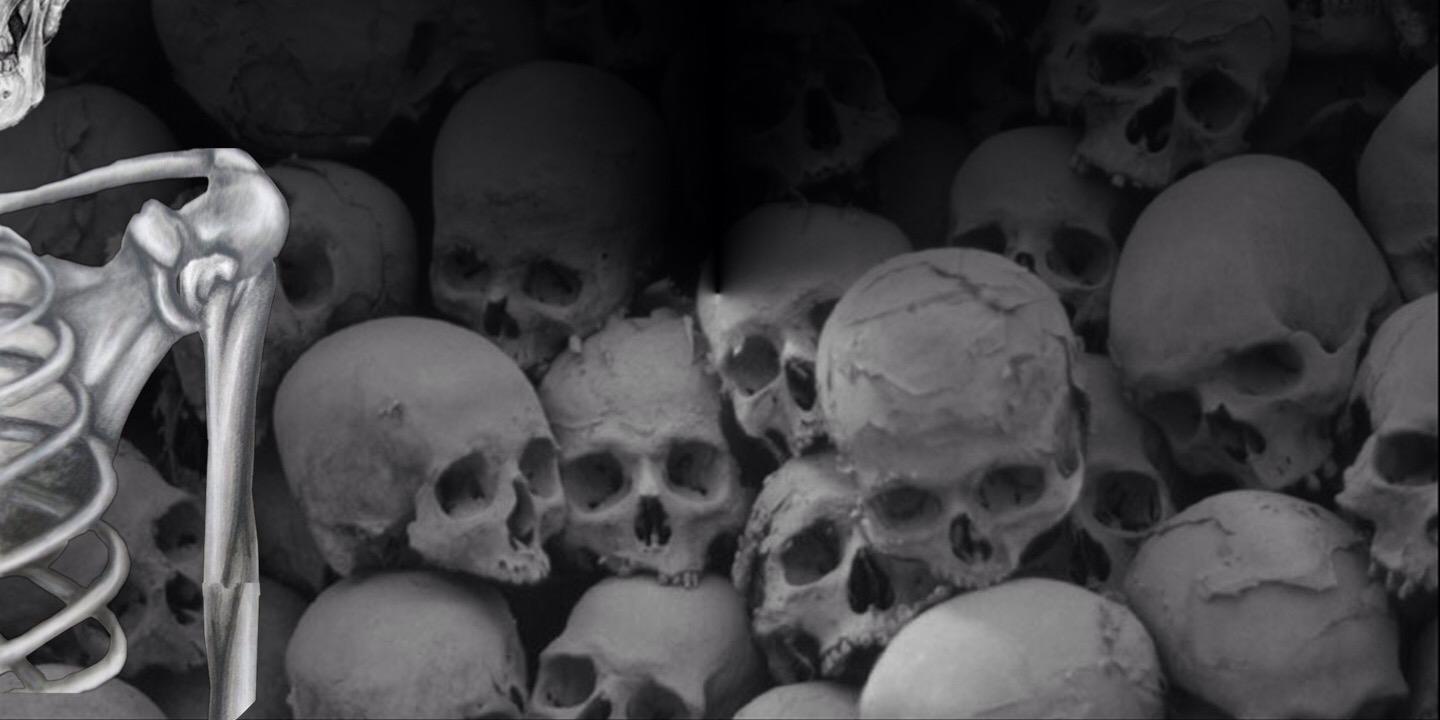 normaom88's profile banner image