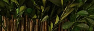 BayDemain's profile banner image