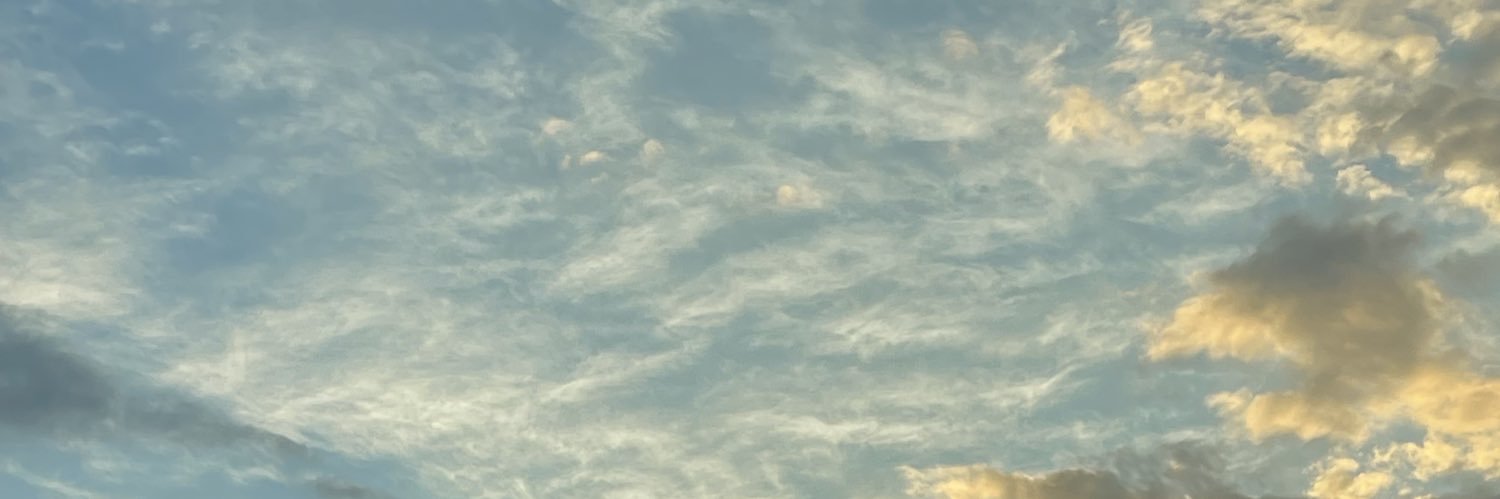 thaiscamialves's profile banner image