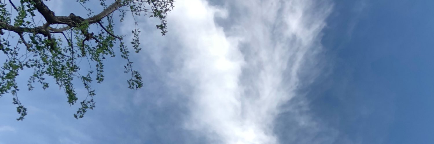 Kotomi Mihara banner