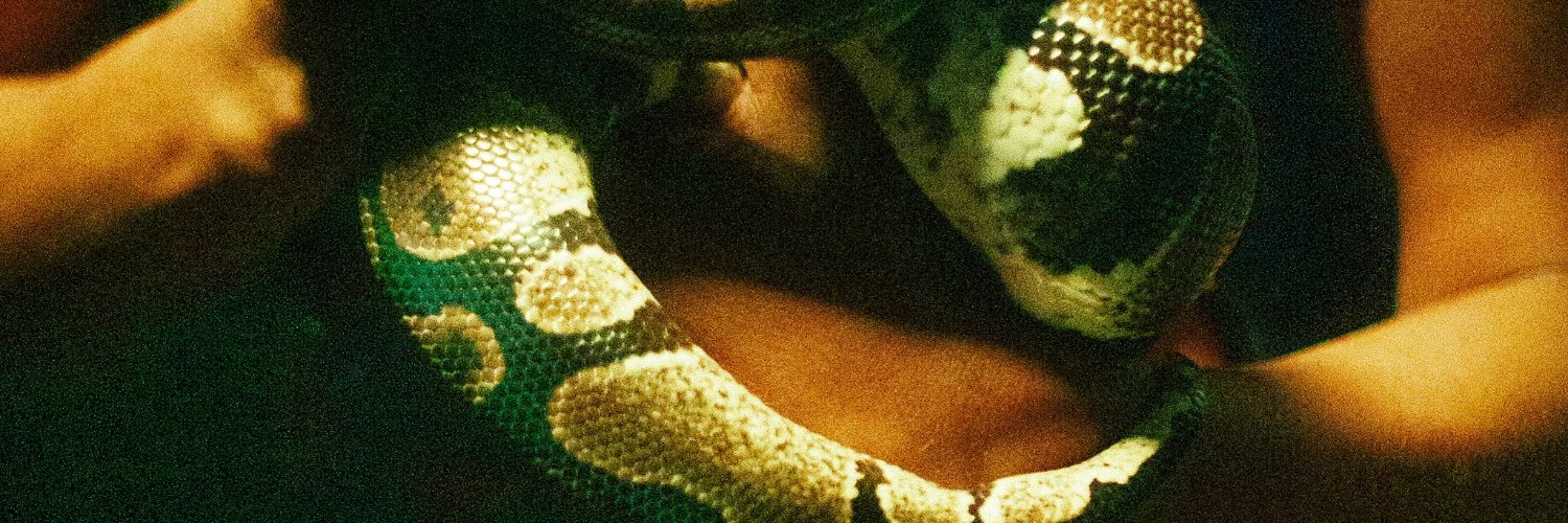 Dorionnnn's profile banner image
