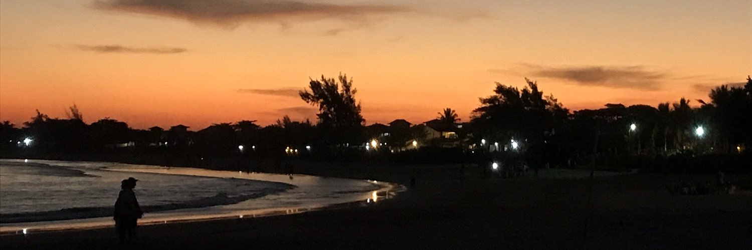 fernandagraell's profile banner image