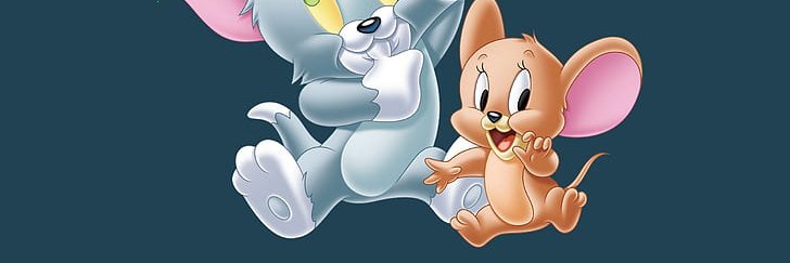 danae cantin banner