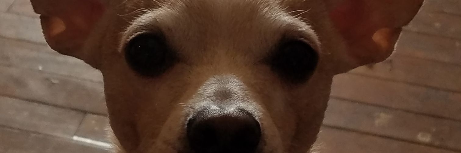 syl_131's profile banner image