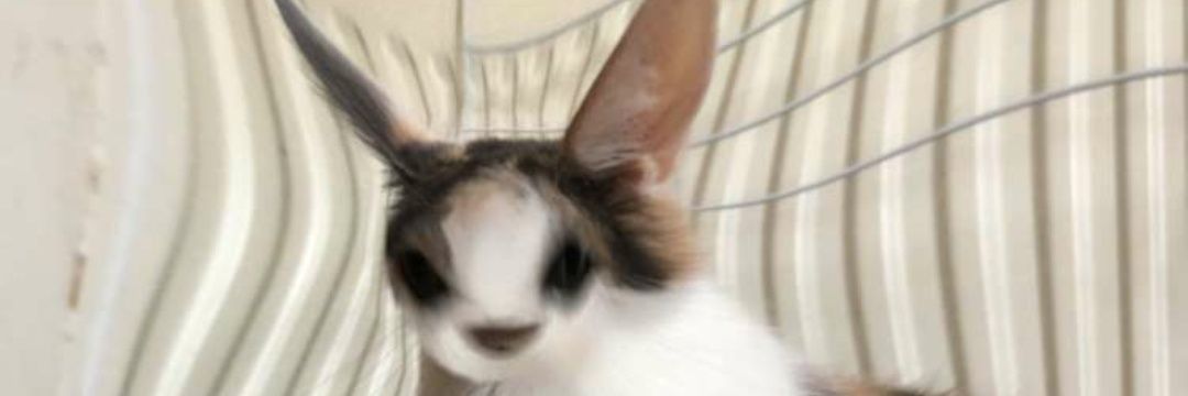 alastaird4's profile banner image