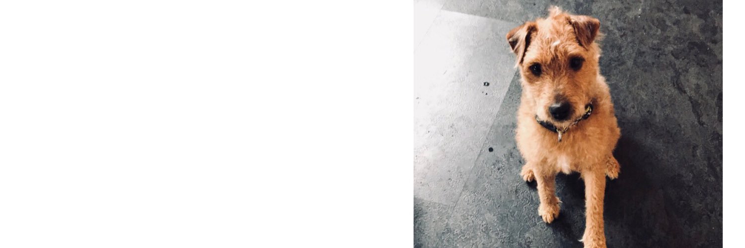 AnjeyBee's profile banner image