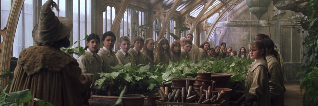 WHSAPBio's profile banner image