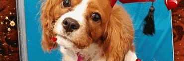 bondork's profile banner image