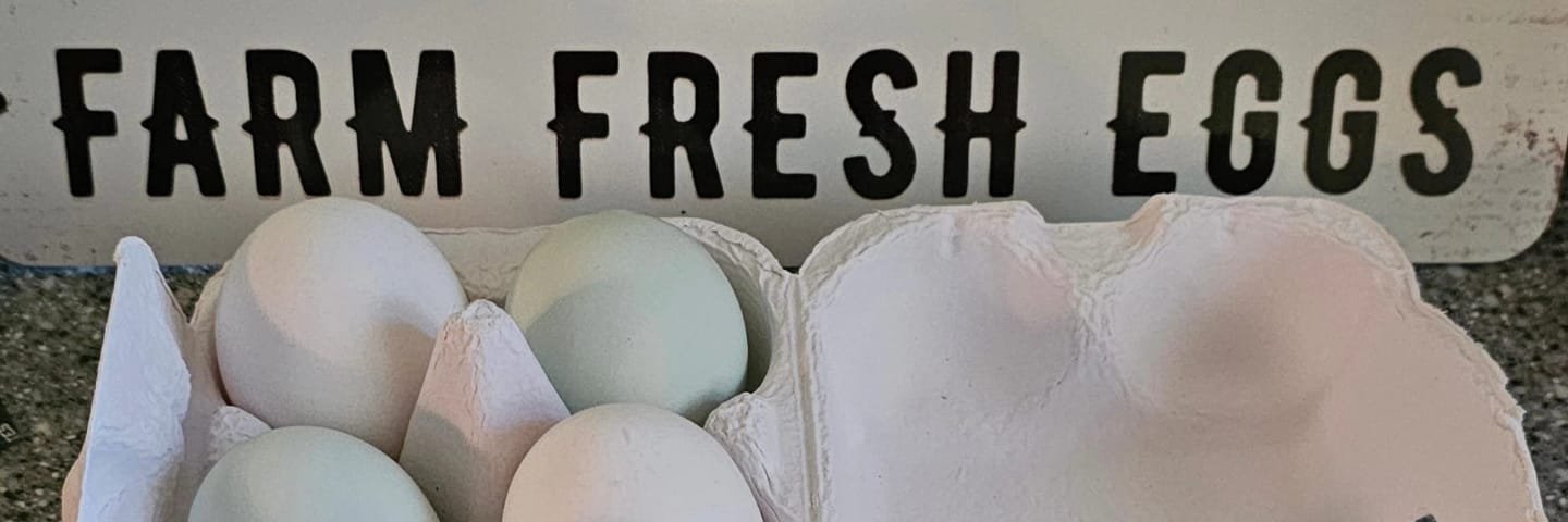 tabbymarie's profile banner image