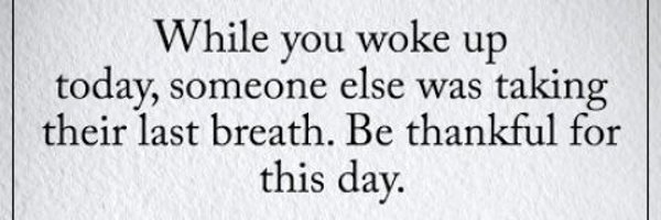 tryinghard1234 Profile Banner