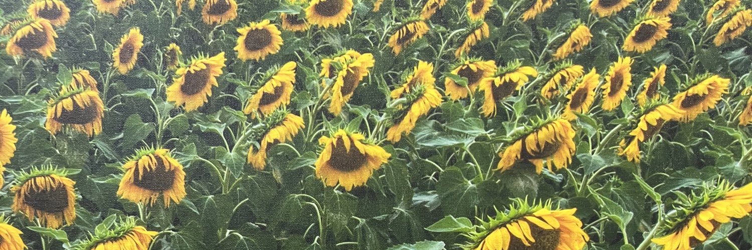 Lexii_Mama's profile banner image