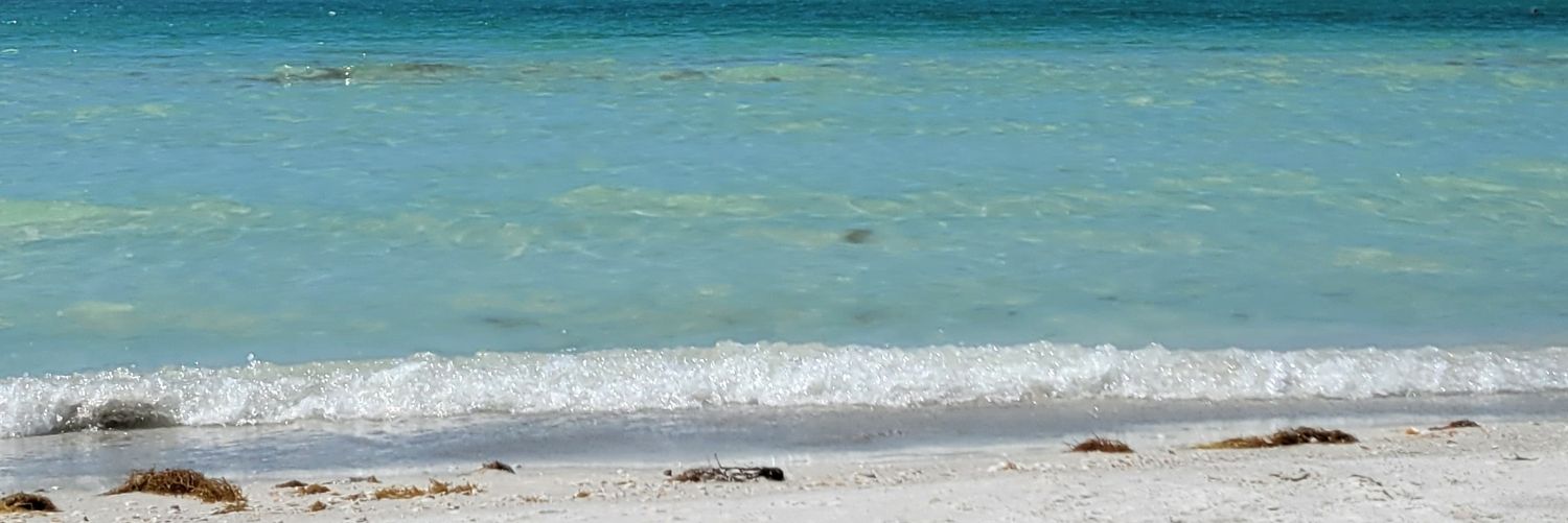 alecline's profile banner image