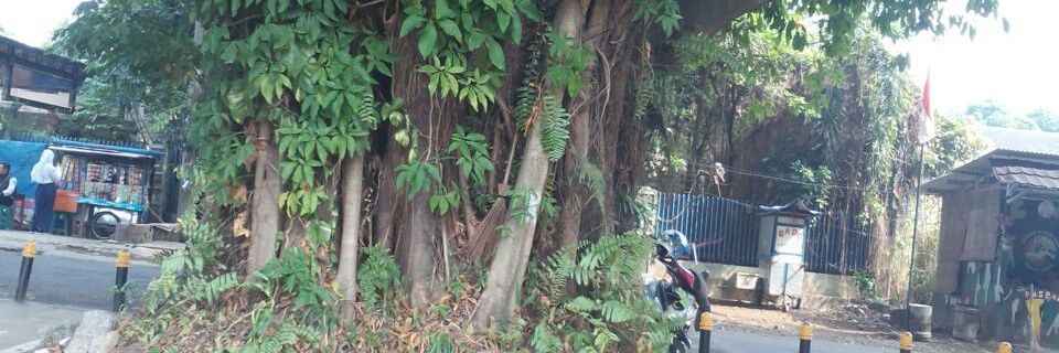 AgusSyakoer's profile banner image