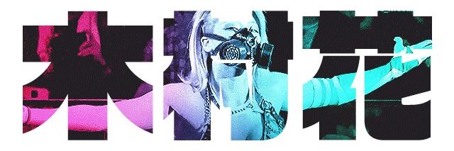 PapiCatch #FuckTrump #FuckRN #FuckICE 🇺🇦 🇵🇸 banner