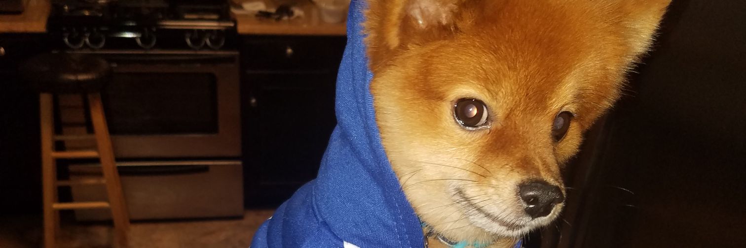 tysoncomedian's profile banner image
