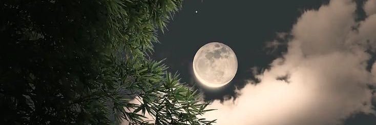 iFaIsalUB's profile banner image