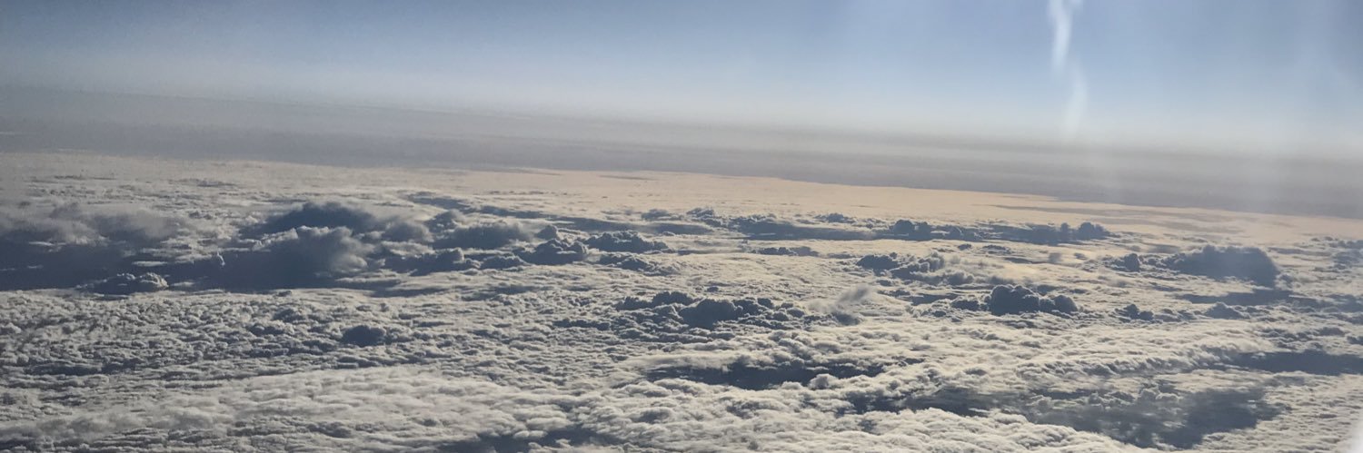 Siân McNeill banner