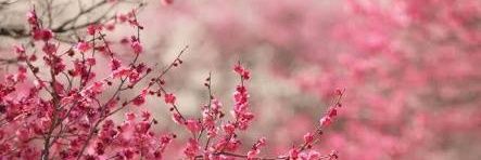 ADRYAMARSEN's profile banner image