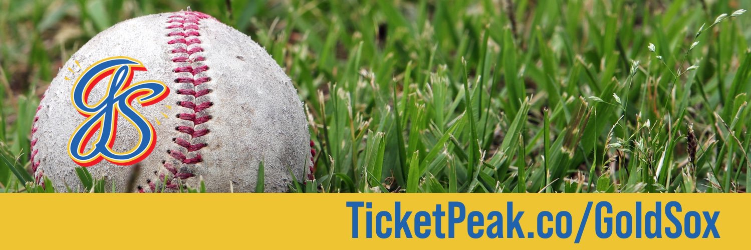 Gold Sox Baseball banner