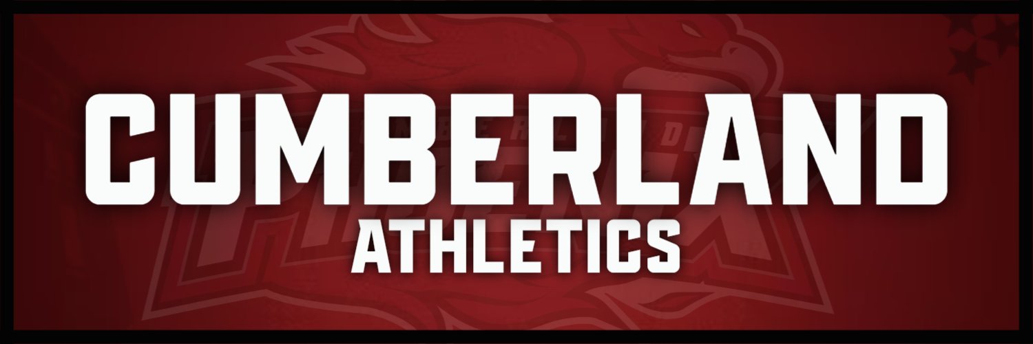 Cumberland Phoenix's banner