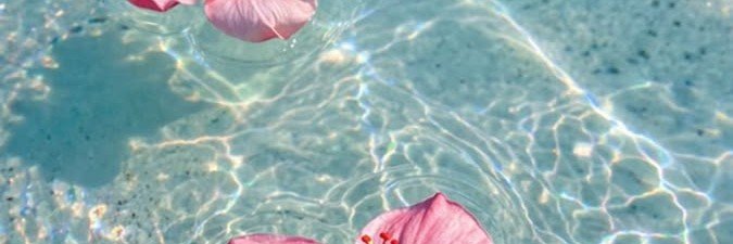 anyvict's profile banner image