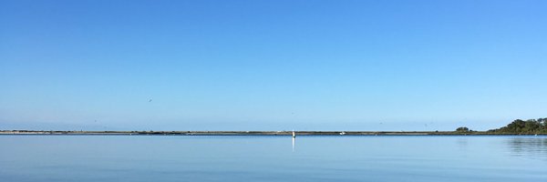 trishdarling Profile Banner