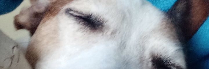 handerx's profile banner image