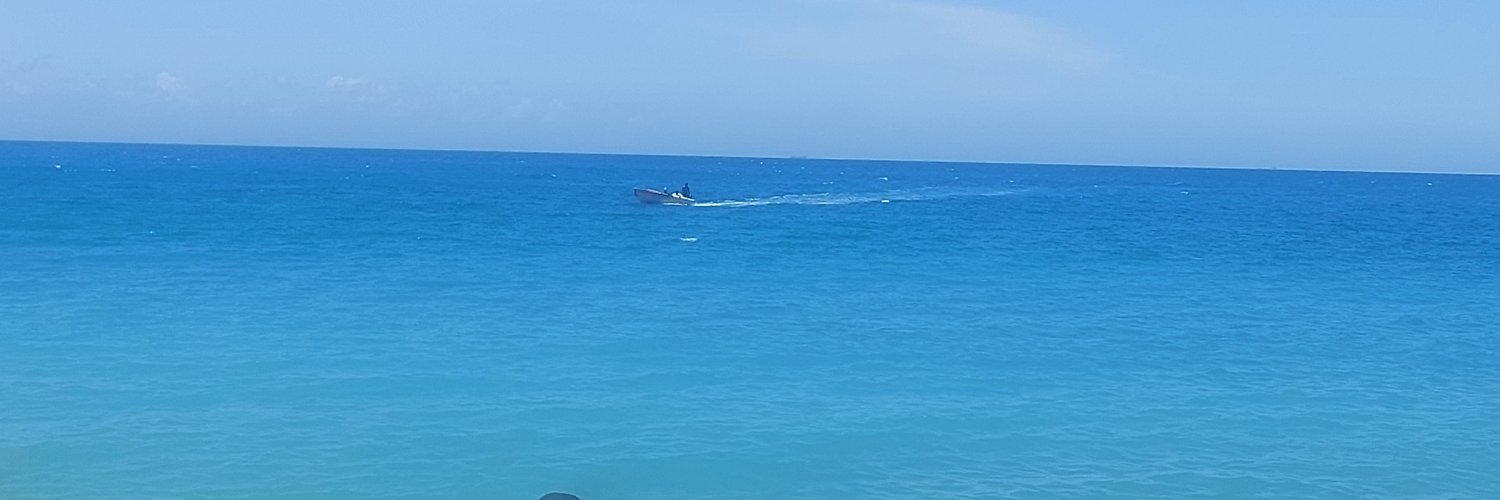 psstbrowning's profile banner image