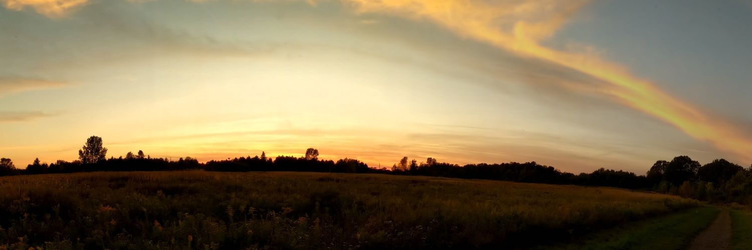 elizabethtopfer's profile banner image