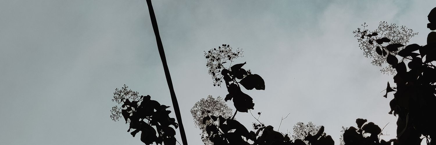 icalozgood's profile banner image