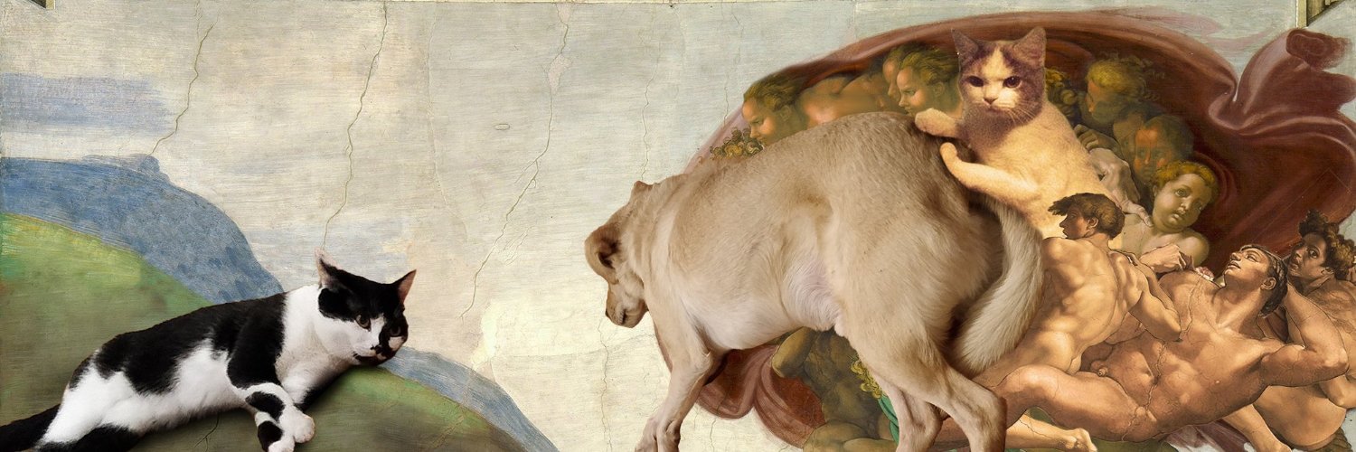 ElleHa's profile banner image