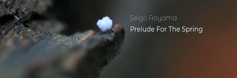 Seigo's profile banner image
