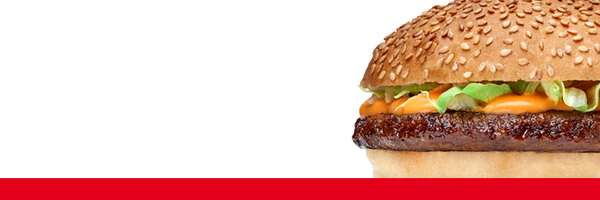 FEBO_VERS Profile Banner