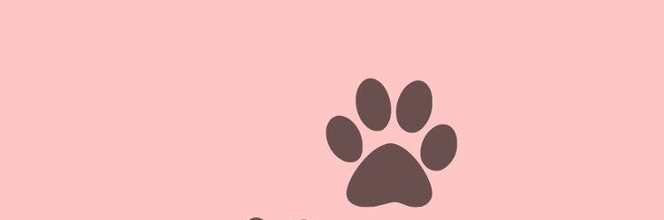 CaroVelarde's profile banner image