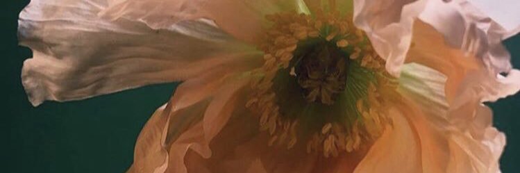 jocelynmstanton's profile banner image