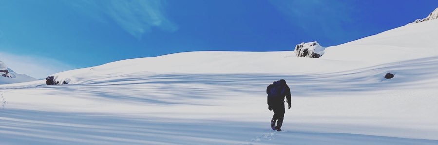alesforza87's profile banner image