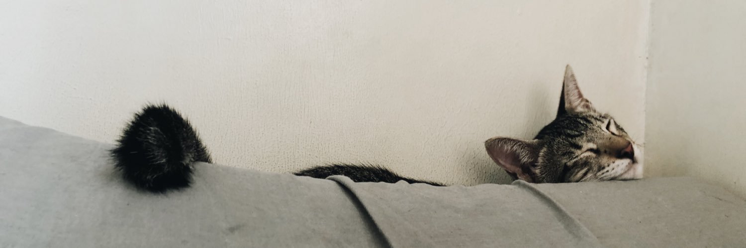 Meowkel's profile banner image