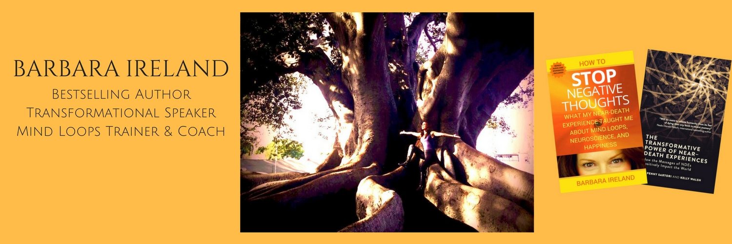 BarbaraIreland's profile banner image