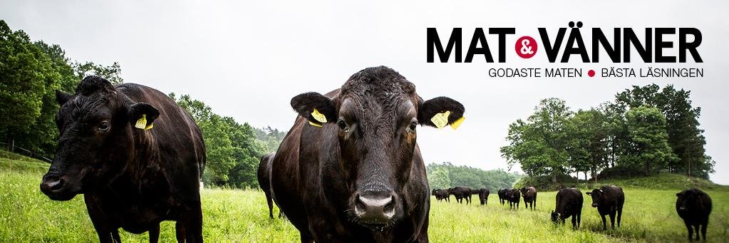 matochvanner's profile banner image