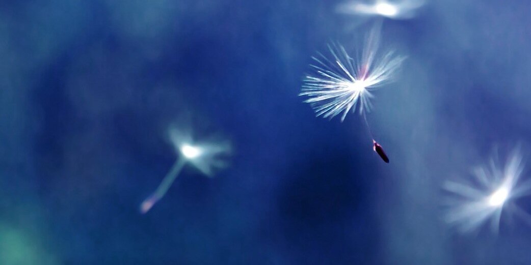 Katrina_Cinite's profile banner image