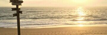 Sophie J Ptx  banner