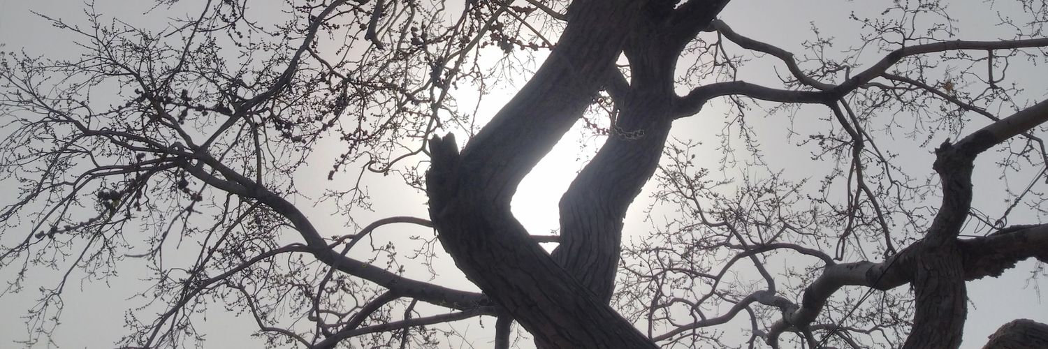 Amar_soni's profile banner image