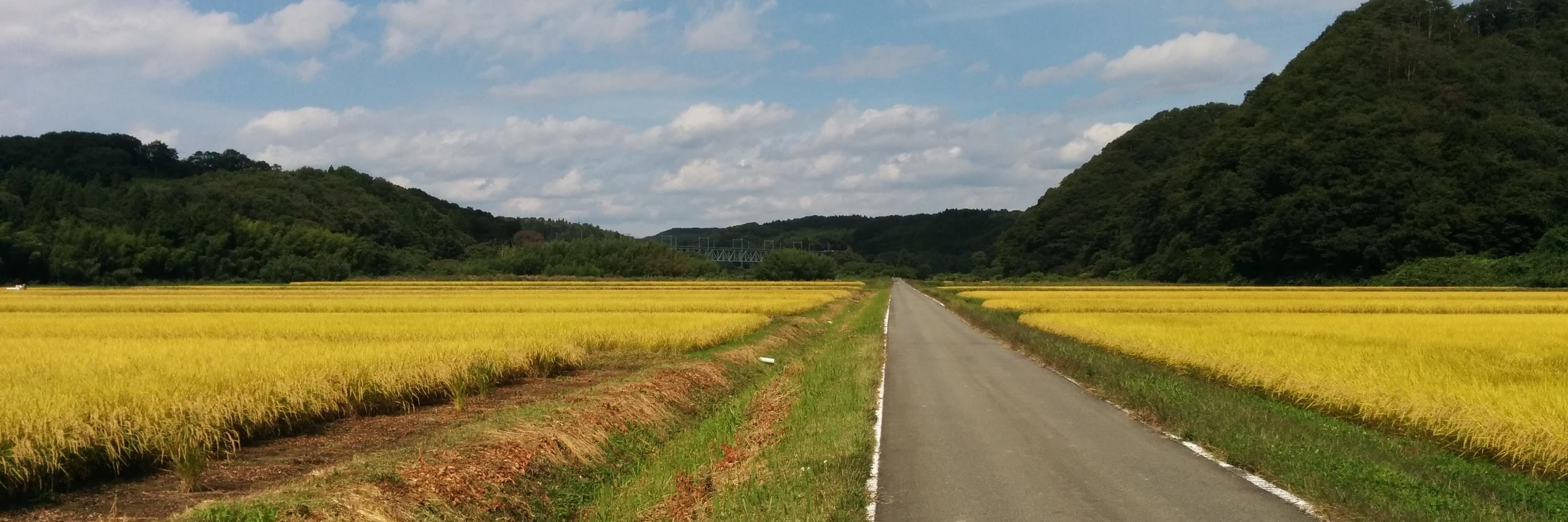 kmuroi's profile banner image