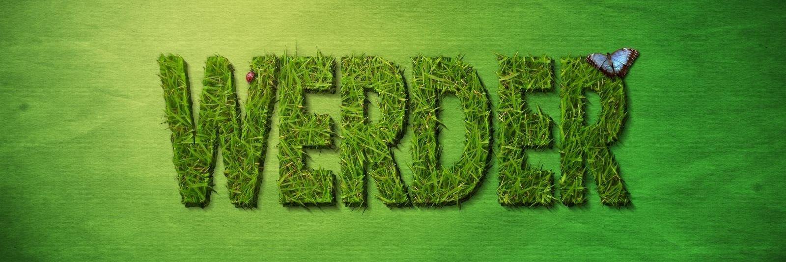 LucailDuca76's profile banner image