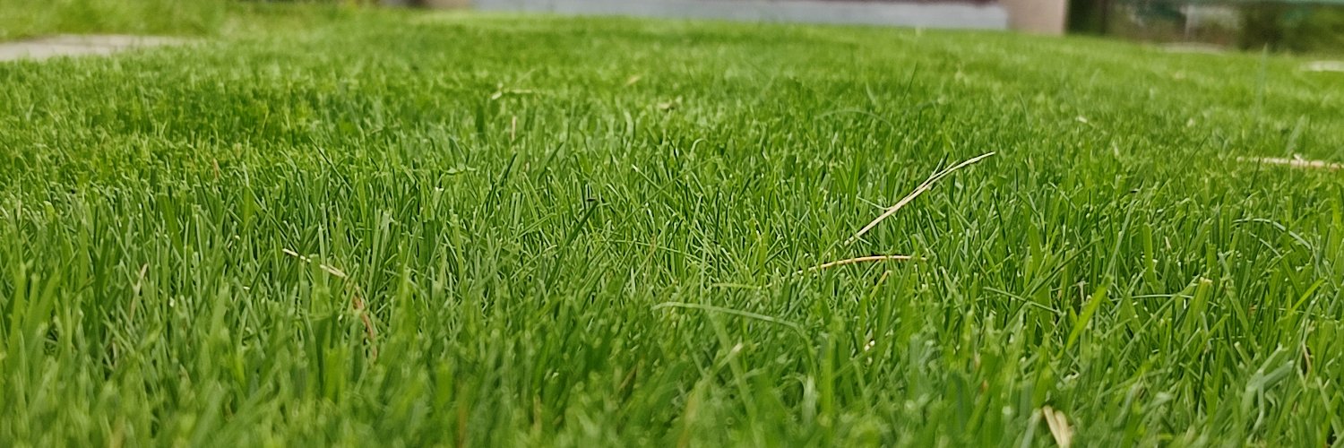 froguz's profile banner image