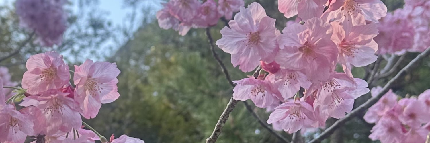 Micheline__B's profile banner image
