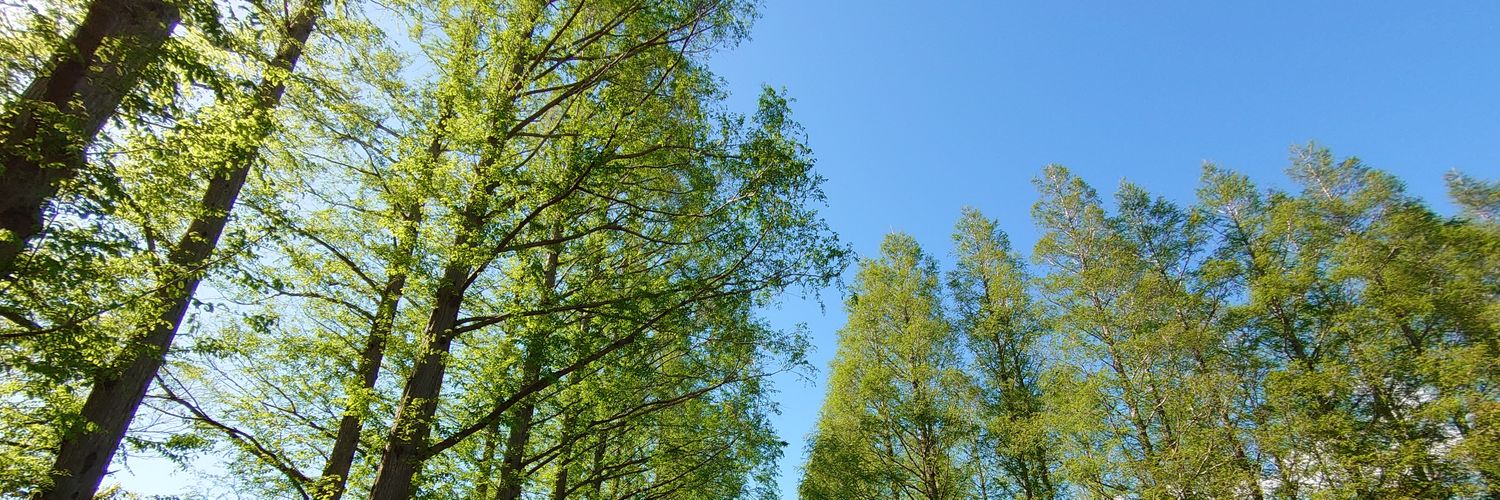 tikutima's profile banner image