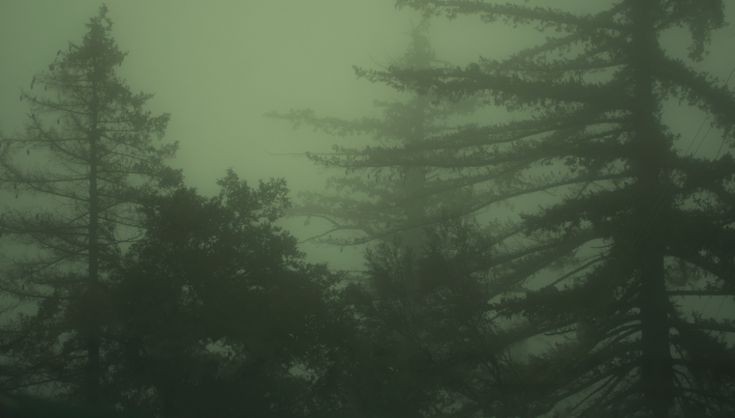 ximezaval's profile banner image
